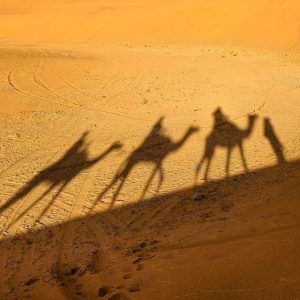 3 days desert adventure from Marrakech to Fes