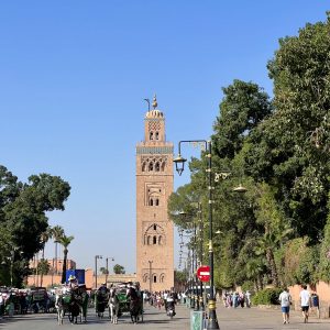 A WEEK TRIP MARRAKECH TO MERZOUGA DESERT