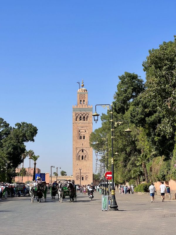 A WEEK TRIP MARRAKECH TO MERZOUGA DESERT