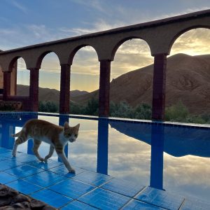 5 days desert adventure from Marrakech