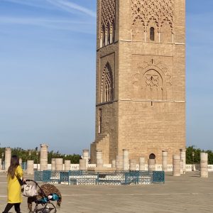Morocco 9 days  tour From Casablanca 