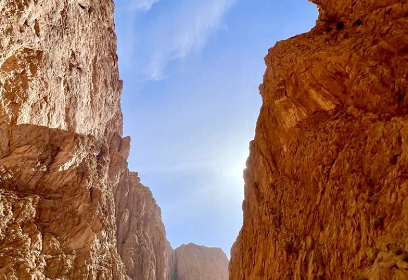 ac260db5-b703-49cb-a180-b22e1938b5d7