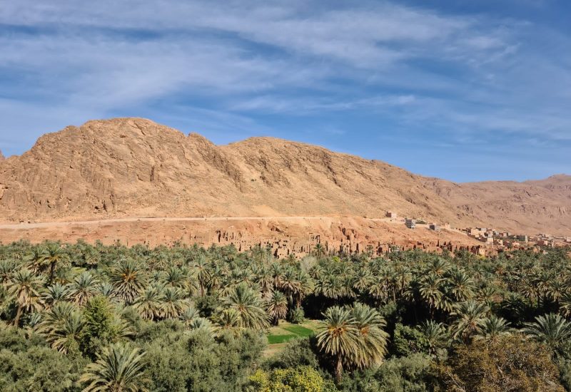 bdd87d4a-beb9-4ecf-bfdb-865bde8012d1