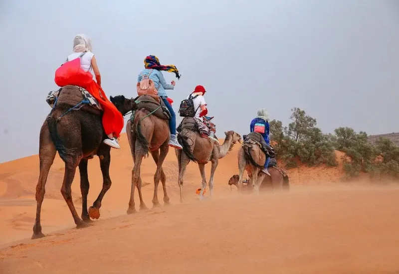 morocco-sahara-with-camels (1)